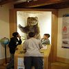 Photo 44