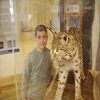 Photo 46