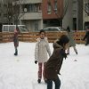 La patinoire 50