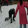 La patinoire 81