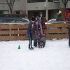 La patinoire 194