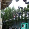La sortie au parc Astrix 26