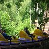 La sortie au parc Astrix 79