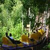La sortie au parc Astrix 80