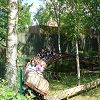 La sortie au parc Astrix 99