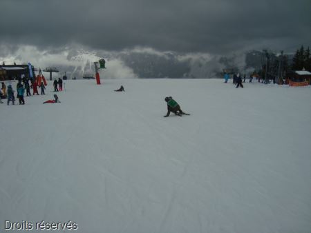 DSC02071