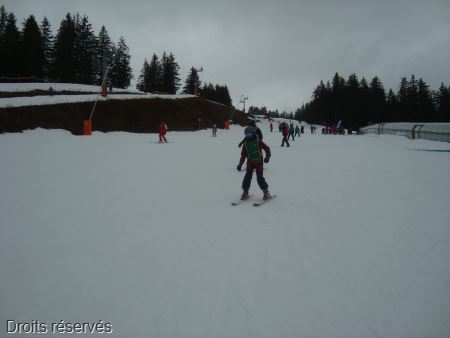 DSC02088