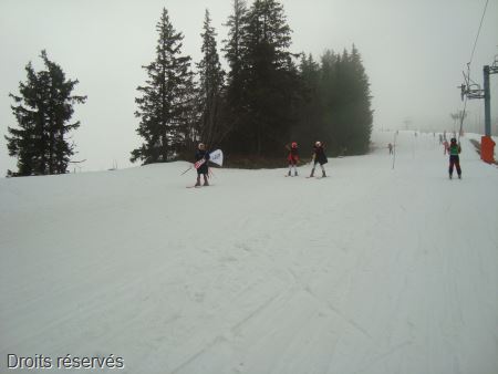 DSC02411