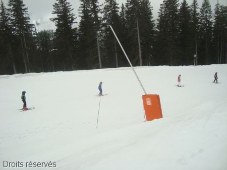 DSC02422