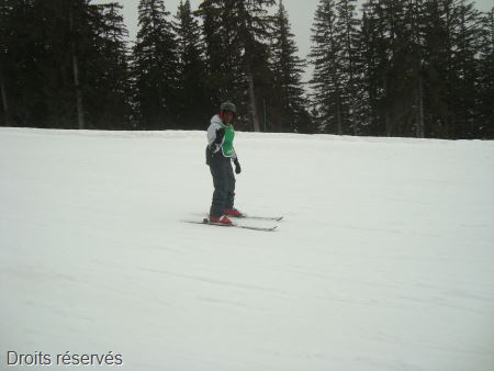 DSC02485