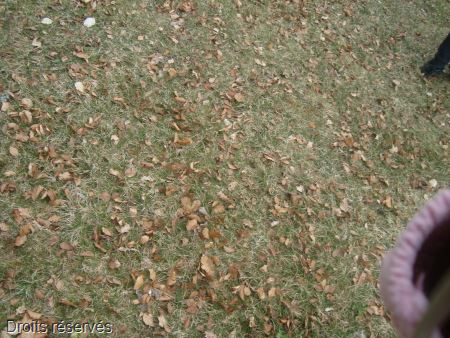 DSC02547