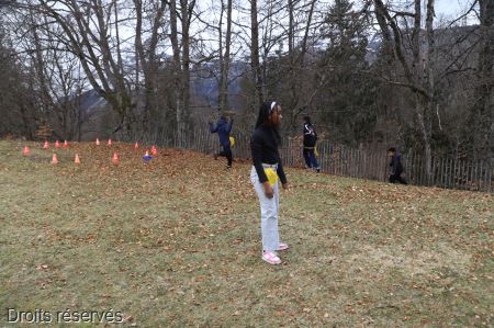 IMG_7393