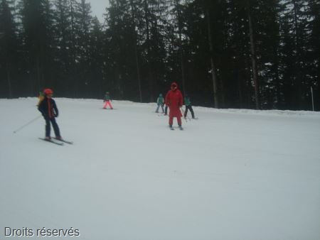 DSC02600