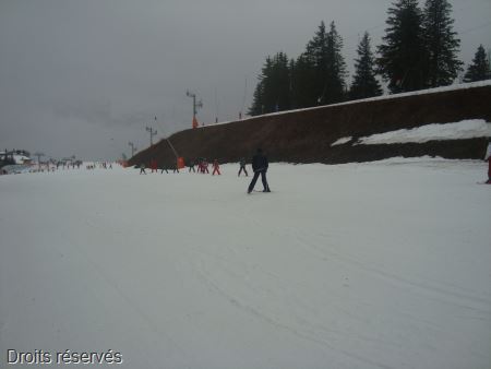 DSC02618