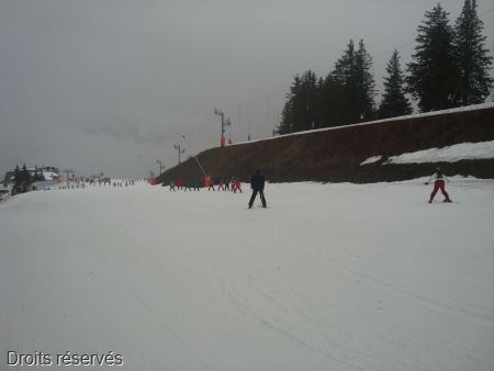DSC02619