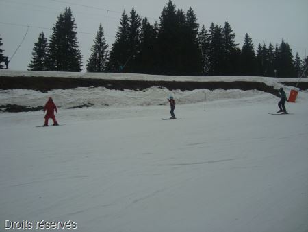 DSC02642