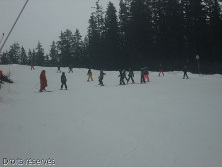 DSC02656
