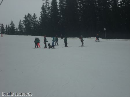DSC02659
