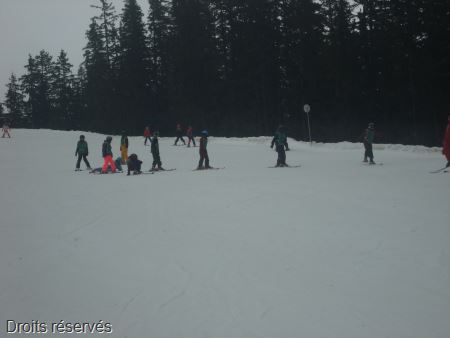 DSC02660