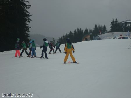 DSC02684