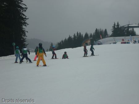 DSC02685