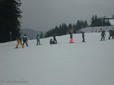 DSC02687
