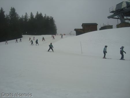 DSC02690