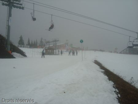 DSC02695