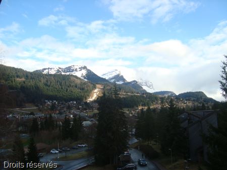 DSC02709