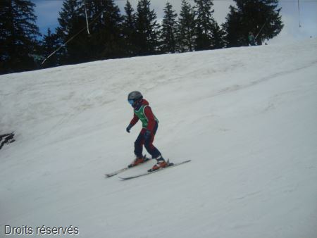 DSC02733