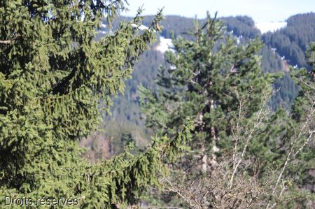 IMG_8090