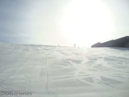 DSC02819