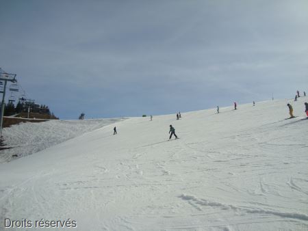DSC02851