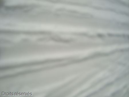 DSC03006