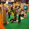 Kid Expo 22