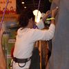 Kid Expo 25