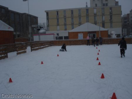 DSC03503