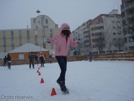 DSC03513