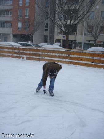 DSC03534