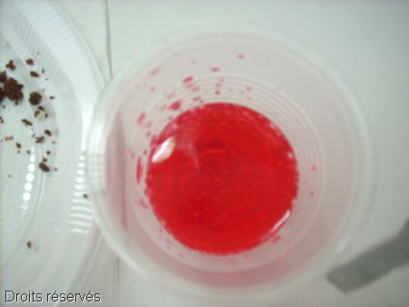 DSCN0187