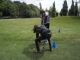 Golf1_076