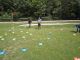 Golf1_083