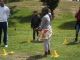 Golf1_116