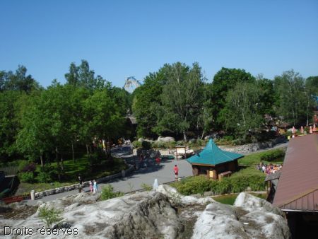 DSC08856