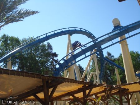 DSC08930