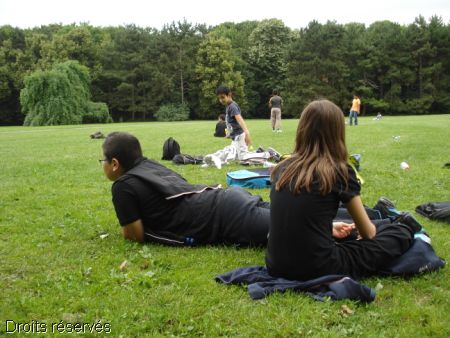 DSC09331