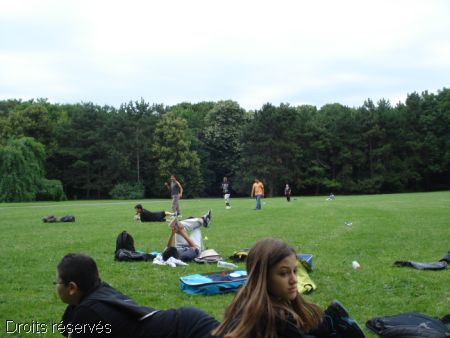 DSC09333