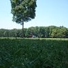 La sortie au parc du 30 juin 19